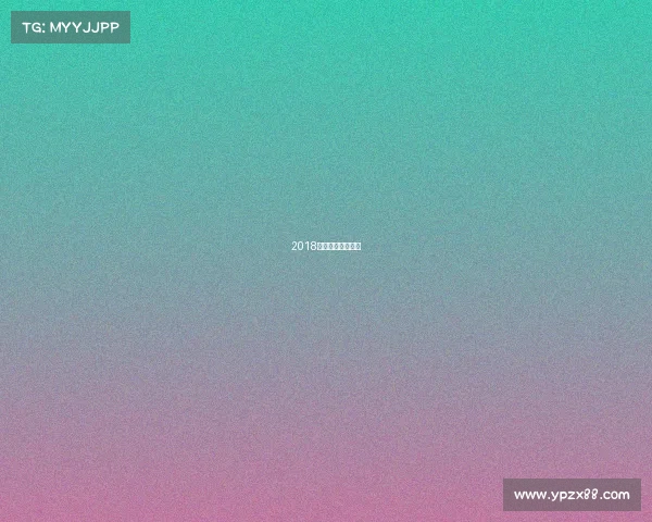 2018人脸识别竞赛冠军